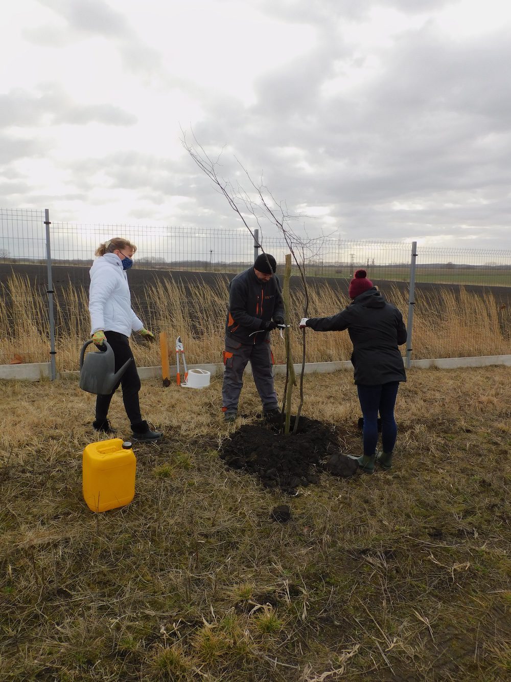 KAV-Hungária-Kisbér-Hársfa-környezetvédelem-fák-ültetése-közösség-társadalmi-szerepvállalás-felelősség-zöld-tudat-1