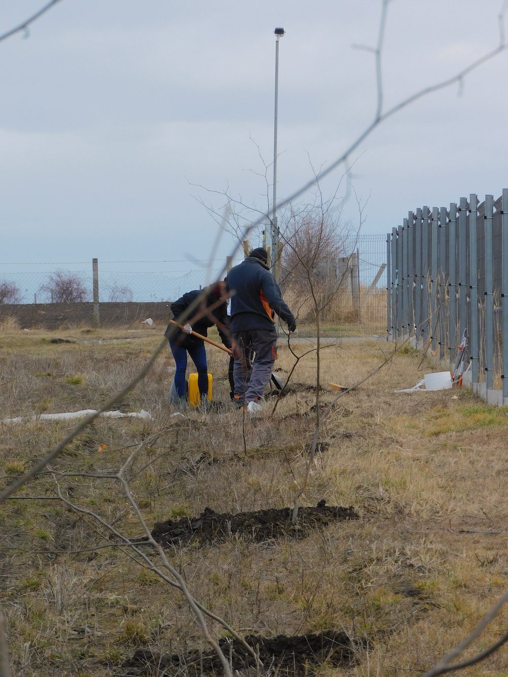 KAV-Hungária-Kisbér-Hársfa-környezetvédelem-fák-ültetése-közösség-társadalmi-szerepvállalás-felelősség-zöld-tudat-2
