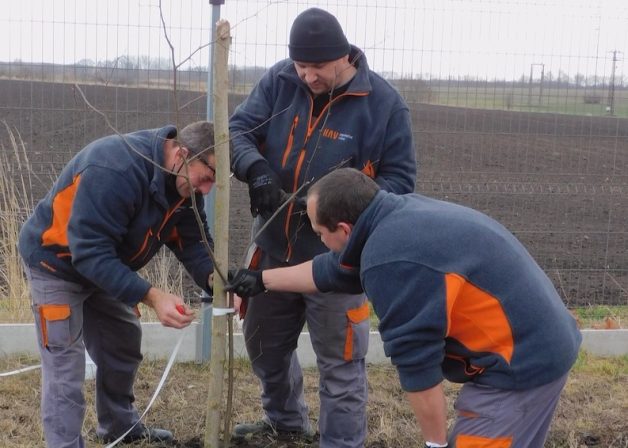 KAV-Hungária-Kisbér-Hársfa-környezetvédelem-fák-ültetése-közösség-társadalmi-szerepvállalás-felelősség-zöld-tudat-5-