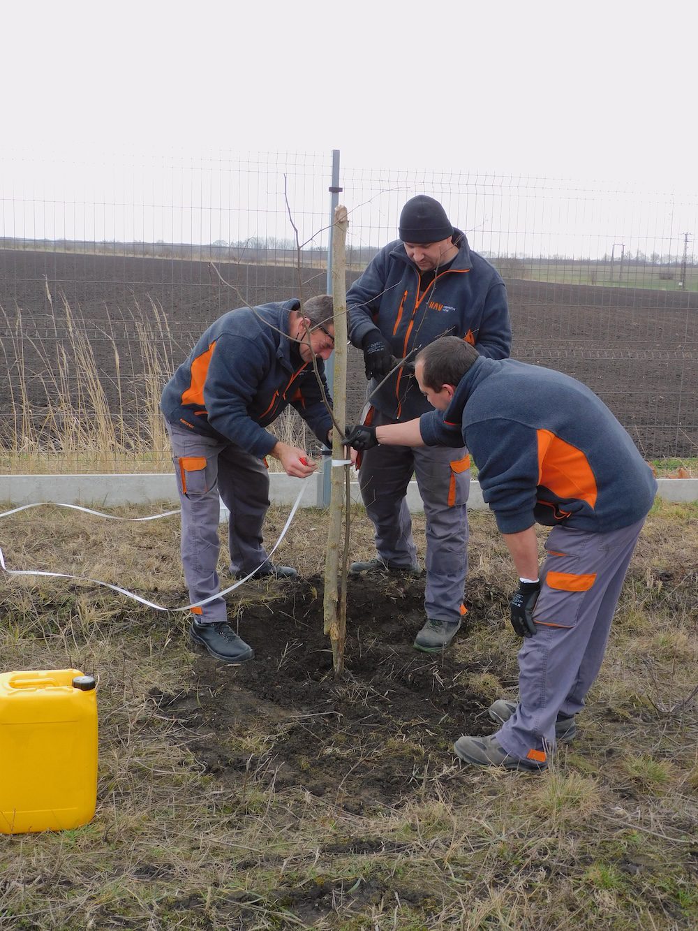 KAV-Hungária-Kisbér-Hársfa-környezetvédelem-fák-ültetése-közösség-társadalmi-szerepvállalás-felelősség-zöld-tudat-5
